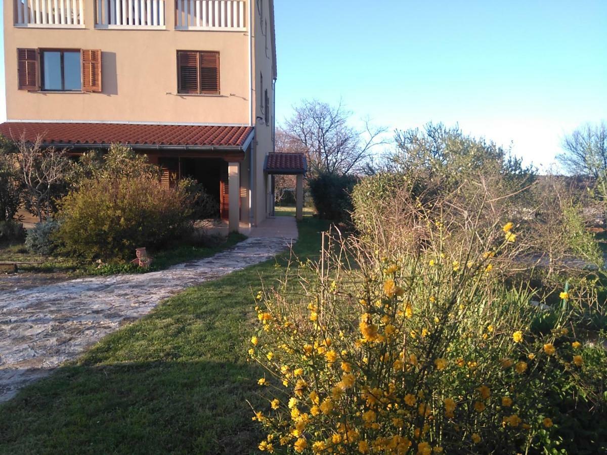 Kamik 1 Apartment Banjole Exterior foto